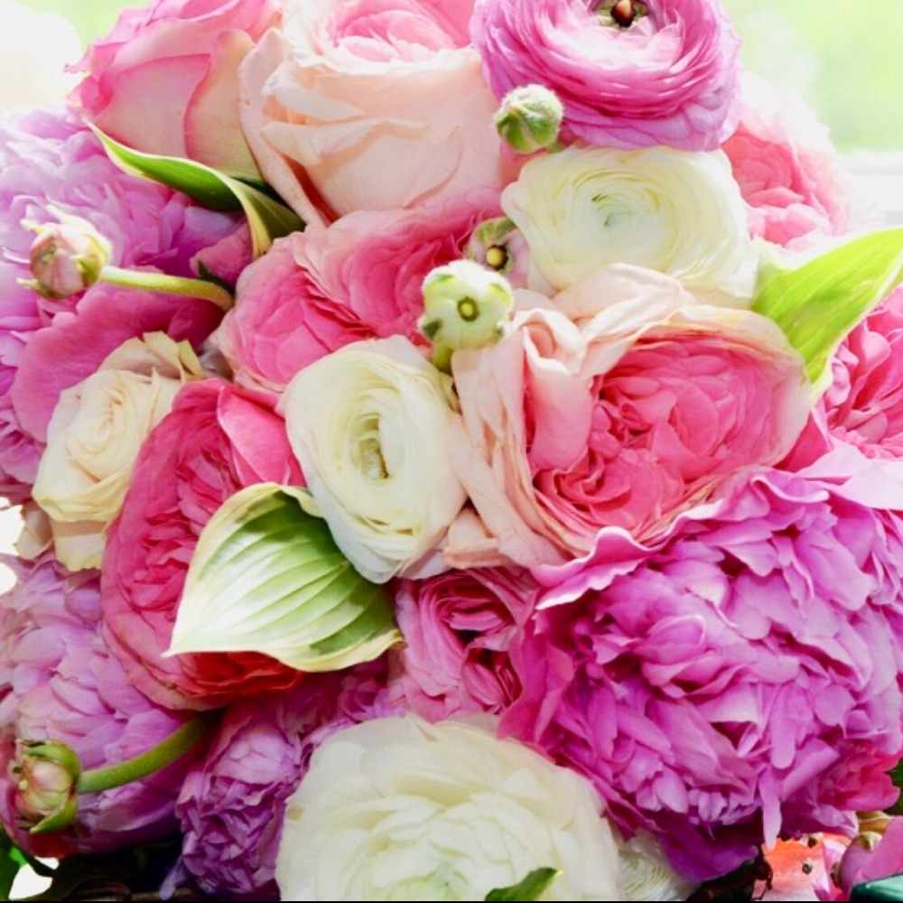 Meet your Posher, Vb